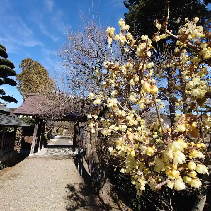 地蔵院の御朱印