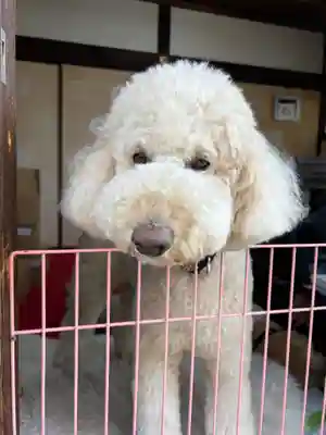 霊鑑寺門跡(京都府)