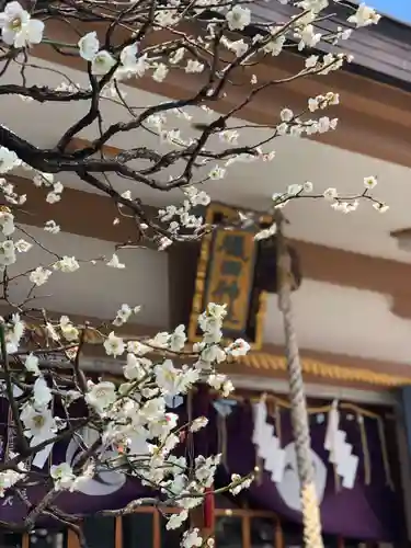 穏田神社の自然