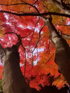滑川神社 - 仕事と子どもの守り神(福島県)(2025年11月17日(月) 11時09分18秒投稿)