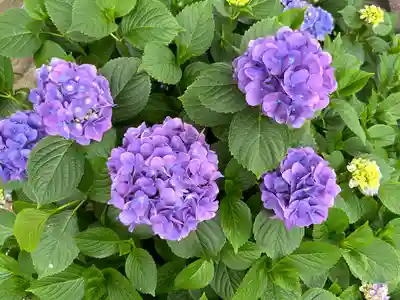 能護寺(埼玉県)