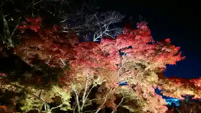 清水寺の{uncategorized: "未分類", other: "その他", undefined: "問題あり", building: "その他建物", grave: "お墓", sacred_gate: "鳥居", guardian: "狛犬", statue: "像", buddha: "仏像", history: "歴史", nature: "自然", garden: "庭園", animal: "動物", pagoda: "塔", temizu: "手水舎", mountain_gate: "山門・神門", sanctuary: "本殿・本堂", subordinate: "末社・摂社", art: "芸術", scenery: "景色", jizo: "地蔵", ema: "絵馬", goshuin: "御朱印", omikuji: "おみくじ", items: "授与品その他", amulet: "お守り", goshuincho: "御朱印帳", eats: "食事", festival: "お祭り", votive_dance: "神楽", shichigosan: "七五三参", wedding: "結婚式", experience: "体験その他", initially: "初詣", around: "周辺", anti_infection: "感染症対策"}