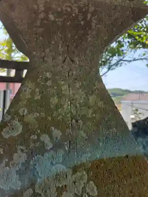 白山神社(神奈川県)