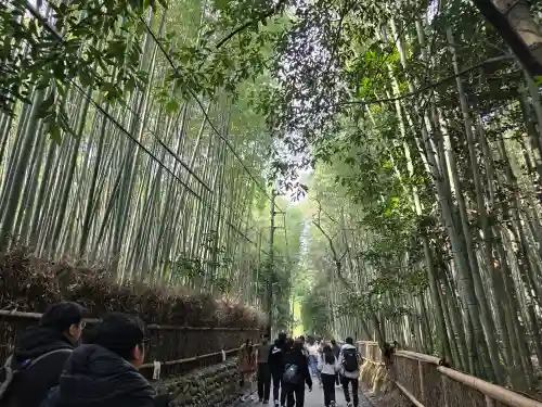 野宮神社(京都府)