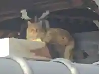 西性寺(和歌山県)