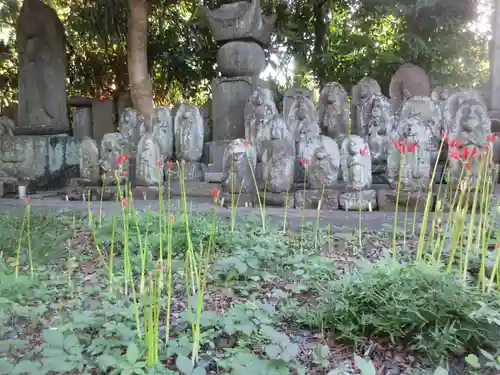 宝蔵院(東京都)