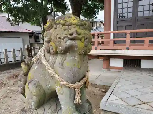 加茂神社の狛犬