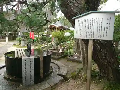 智恩寺の手水舎