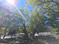 冷水八幡神社(和歌山県)