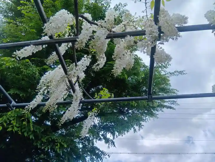 曼陀羅寺(愛知県)