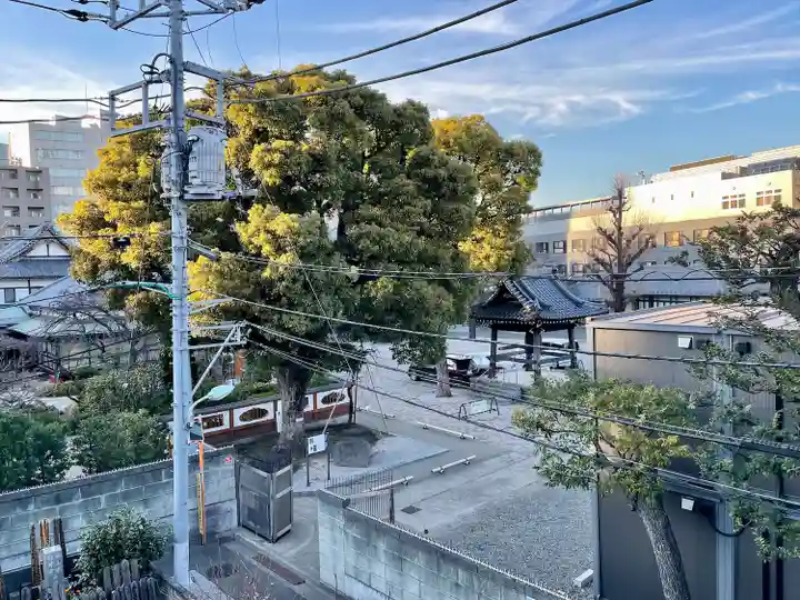 真了寺(東京都)