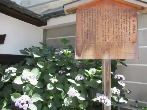 行願寺（革堂）の歴史