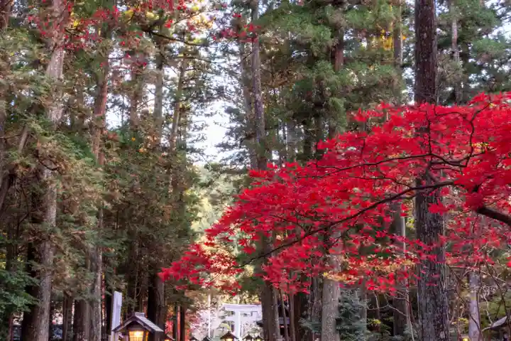 小國神社(静岡県)