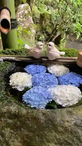 柳谷観音　楊谷寺(京都府)