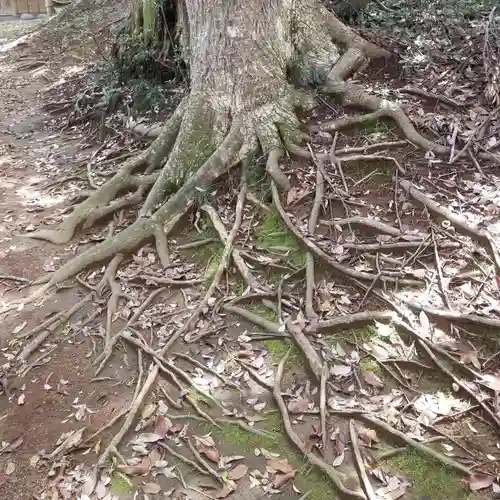 塩釜神社の自然