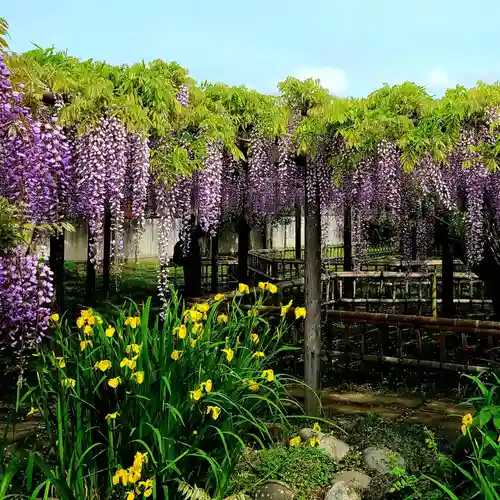 行興寺(静岡県)