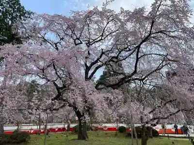 醍醐寺(京都府)