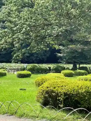 明治神宮(東京都)