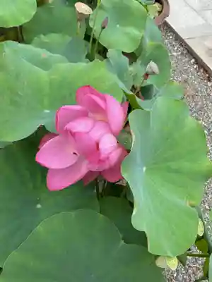 法住寺(愛知県)