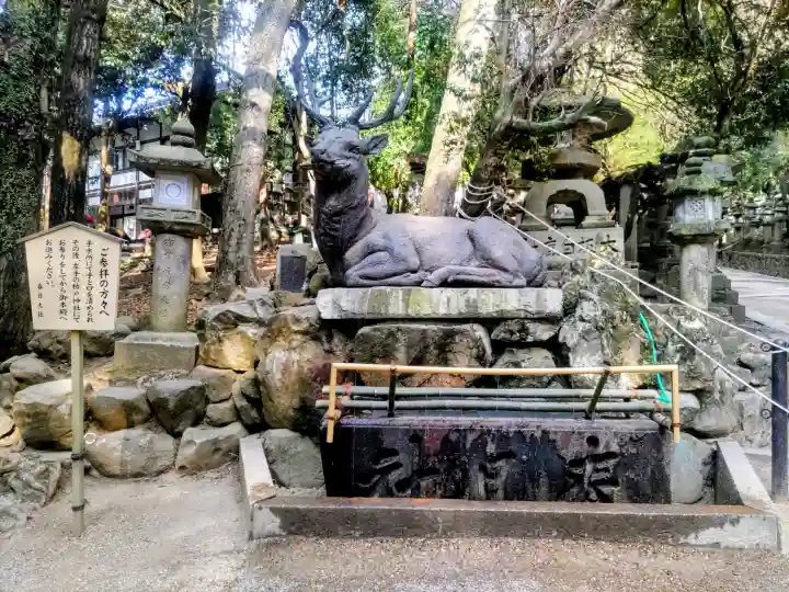 春日大社の{uncategorized: "未分類", other: "その他", undefined: "問題あり", building: "その他建物", grave: "お墓", sacred_gate: "鳥居", guardian: "狛犬", statue: "像", buddha: "仏像", history: "歴史", nature: "自然", garden: "庭園", animal: "動物", pagoda: "塔", temizu: "手水舎", mountain_gate: "山門・神門", sanctuary: "本殿・本堂", subordinate: "末社・摂社", art: "芸術", scenery: "景色", jizo: "地蔵", ema: "絵馬", goshuin: "御朱印", omikuji: "おみくじ", items: "授与品その他", amulet: "お守り", goshuincho: "御朱印帳", eats: "食事", festival: "お祭り", votive_dance: "神楽", shichigosan: "七五三参", wedding: "結婚式", experience: "体験その他", initially: "初詣", around: "周辺", anti_infection: "感染症対策"}