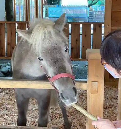 平塚八幡宮(神奈川県)