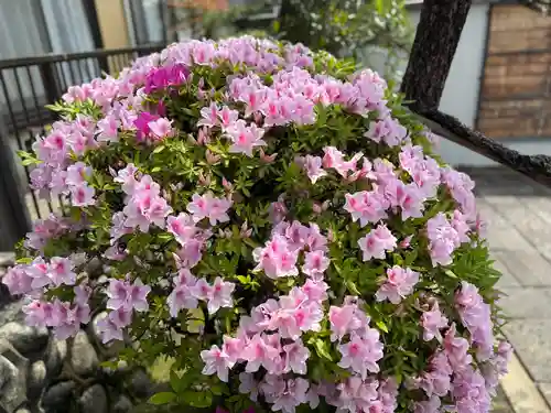 西方山極楽寺(岐阜県)