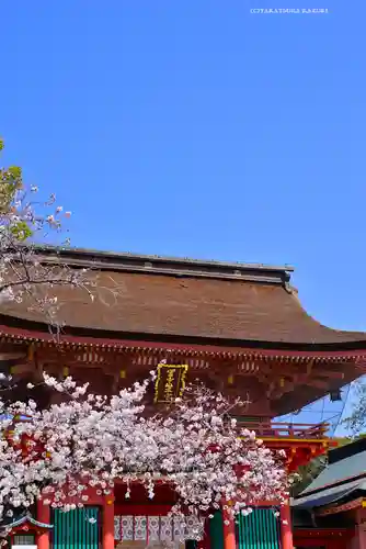 富士山本宮浅間大社(静岡県)