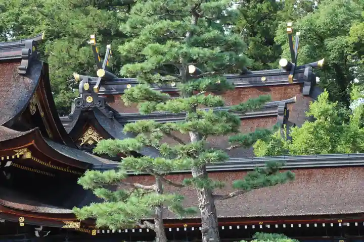 多賀大社の自然