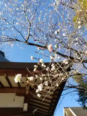馬橋稲荷神社(東京都)