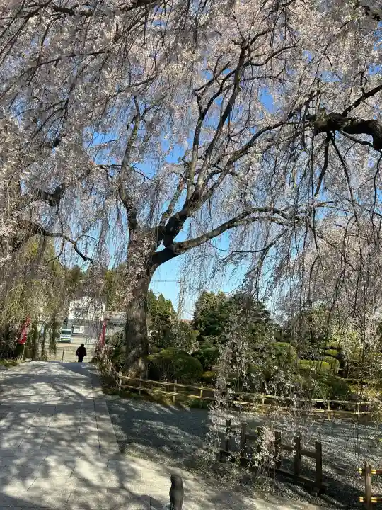 身照寺の{uncategorized: "未分類", other: "その他", undefined: "問題あり", building: "その他建物", grave: "お墓", sacred_gate: "鳥居", guardian: "狛犬", statue: "像", buddha: "仏像", history: "歴史", nature: "自然", garden: "庭園", animal: "動物", pagoda: "塔", temizu: "手水舎", mountain_gate: "山門・神門", sanctuary: "本殿・本堂", subordinate: "末社・摂社", art: "芸術", scenery: "景色", jizo: "地蔵", ema: "絵馬", goshuin: "御朱印", omikuji: "おみくじ", items: "授与品その他", amulet: "お守り", goshuincho: "御朱印帳", eats: "食事", festival: "お祭り", votive_dance: "神楽", shichigosan: "七五三参", wedding: "結婚式", experience: "体験その他", initially: "初詣", around: "周辺", anti_infection: "感染症対策"}