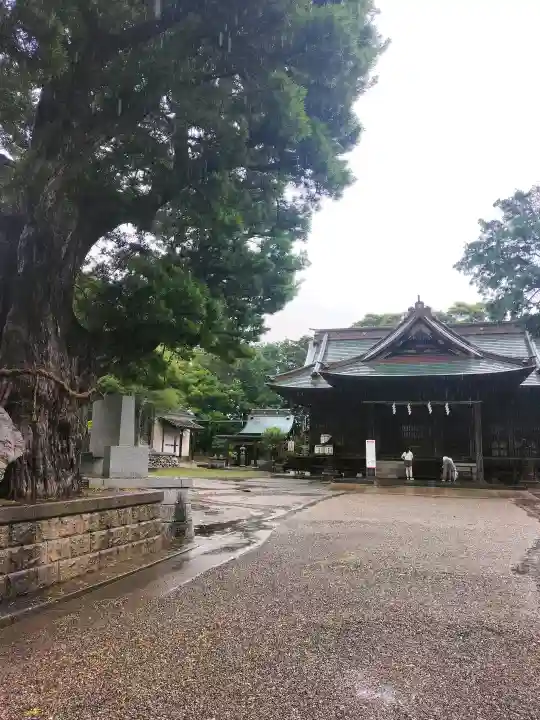 鶴谷八幡宮(千葉県)
