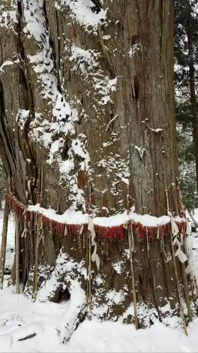 磐椅神社(福島県)
