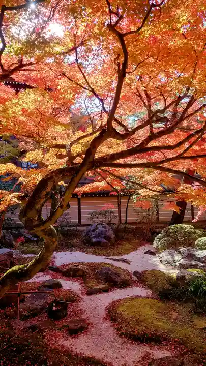 禅林寺(永観堂)(京都府)