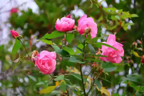 神炊館神社 ⁂奥州須賀川総鎮守⁂の庭園