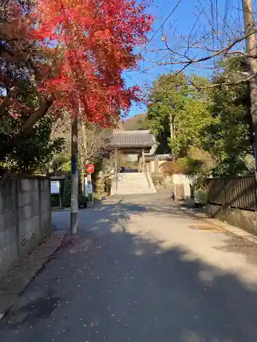 浄妙寺の山門