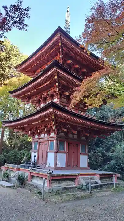 浄瑠璃寺(京都府)