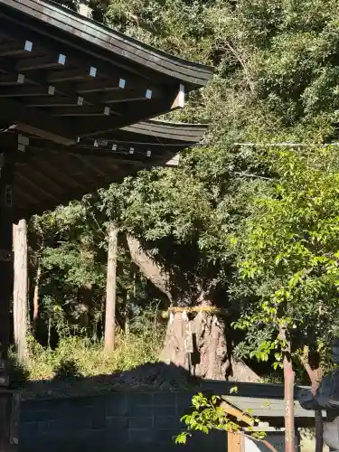 鐵神社(神奈川県)