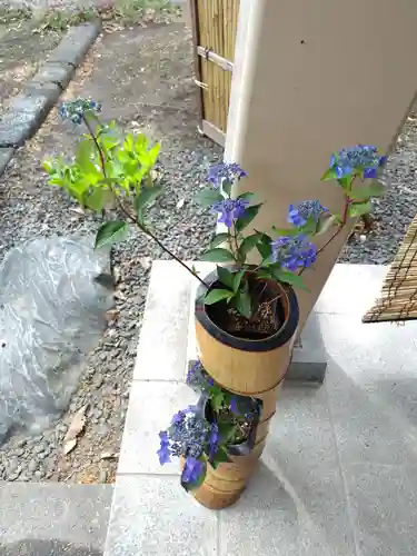 厚別神社(北海道)