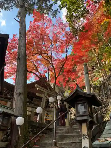 阿賀神社の建物その他