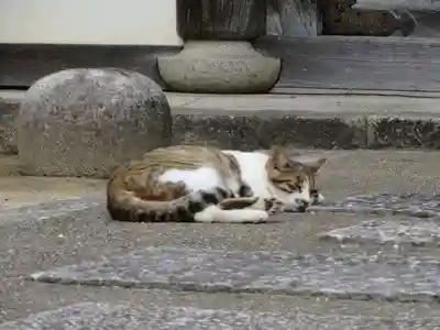 智恩寺(京都府)
