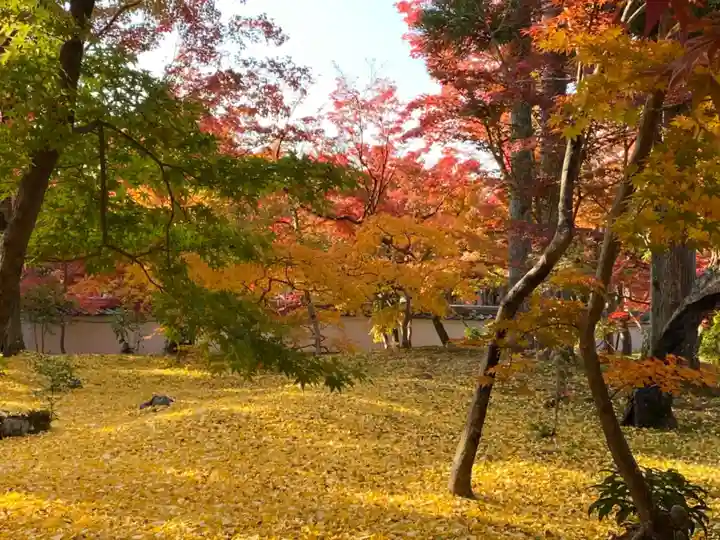 禅林寺(永観堂)の自然