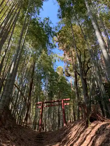 稲倉神社の鳥居