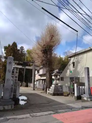 南宮御旅神社(岐阜県)