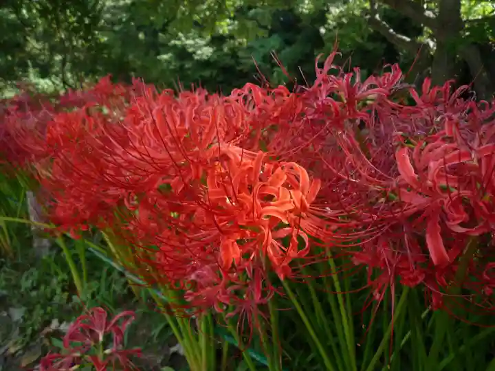 金刀比羅神社の周辺
