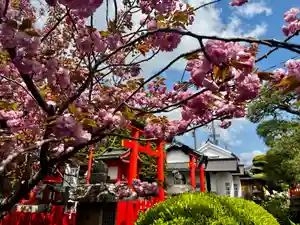 御霊神社(奈良県)(2025年04月16日(水) 10時47分43秒投稿)