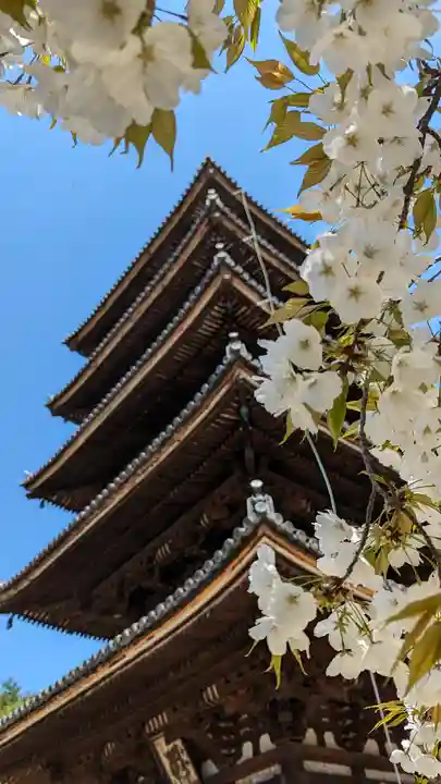 仁和寺(京都府)