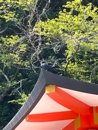 御縣彦社(和歌山県)