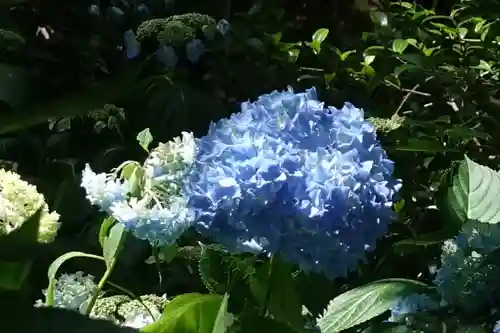 石清水八幡宮の庭園