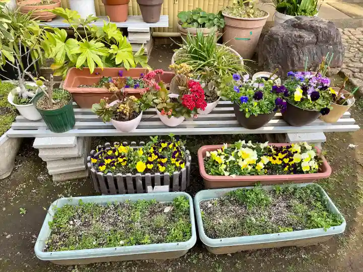 皆中稲荷神社(東京都)