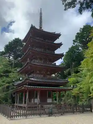 海住山寺の塔